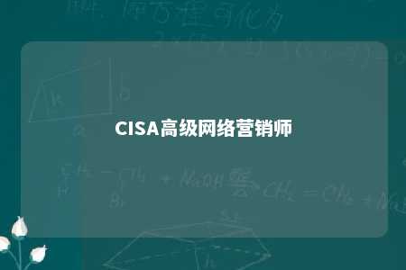 CISA高级网络营销师