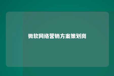 微软网络营销方案策划岗