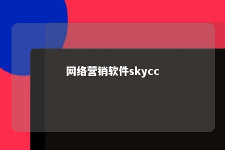 网络营销软件skycc