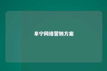 阜宁网络营销方案