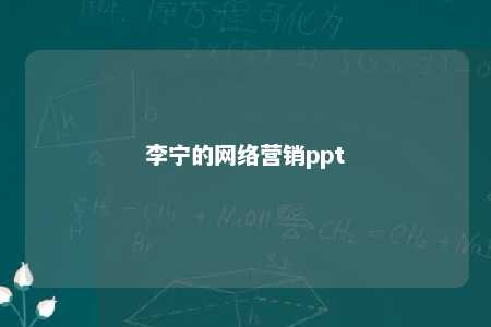 李宁的网络营销ppt