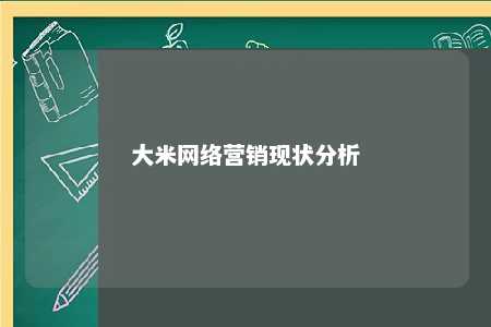 大米网络营销现状分析