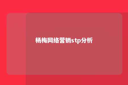 杨梅网络营销stp分析