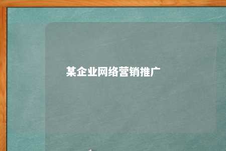 某企业网络营销推广