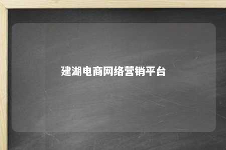 建湖电商网络营销平台