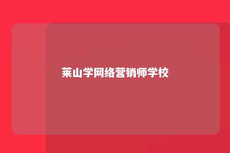 莱山学网络营销师学校