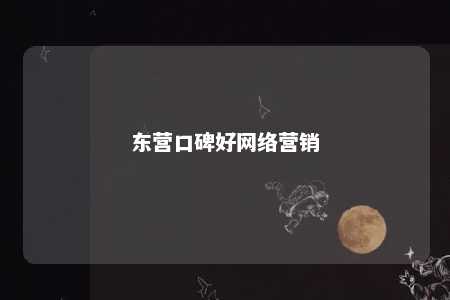 东营口碑好网络营销