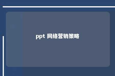 ppt 网络营销策略