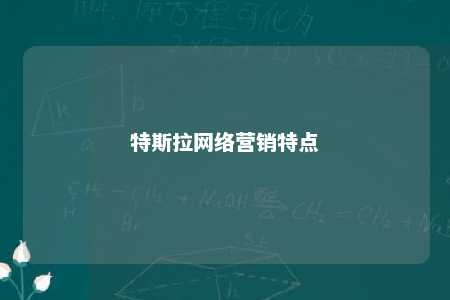 特斯拉网络营销特点