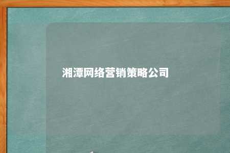 湘潭网络营销策略公司