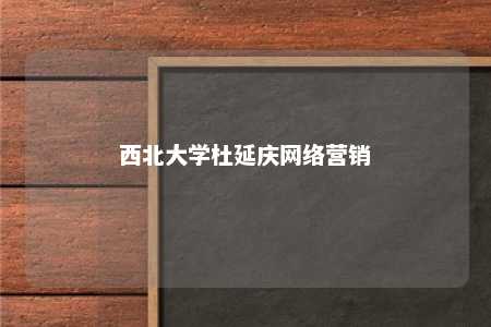 西北大学杜延庆网络营销