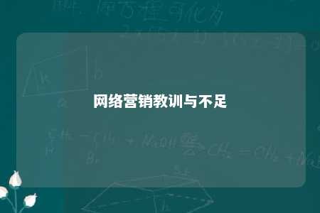 网络营销教训与不足