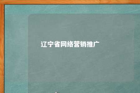 辽宁省网络营销推广