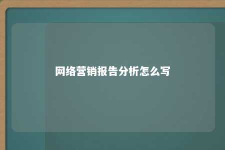 网络营销报告分析怎么写