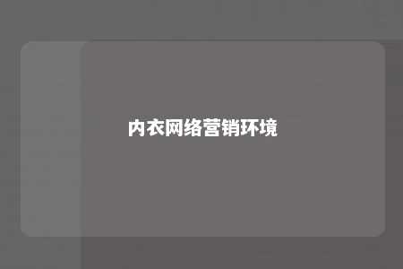 内衣网络营销环境