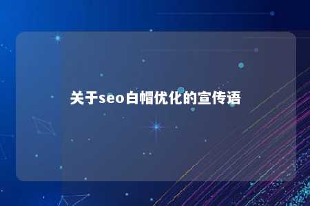 关于seo白帽优化的宣传语