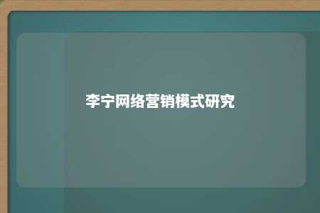 李宁网络营销模式研究