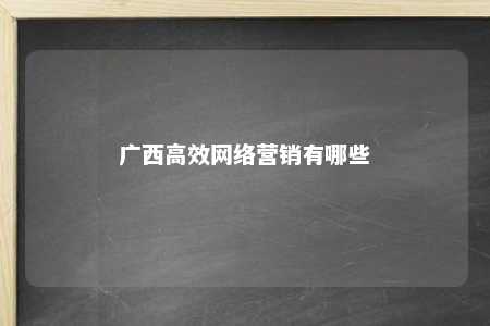 广西高效网络营销有哪些