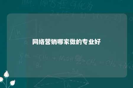 网络营销哪家做的专业好