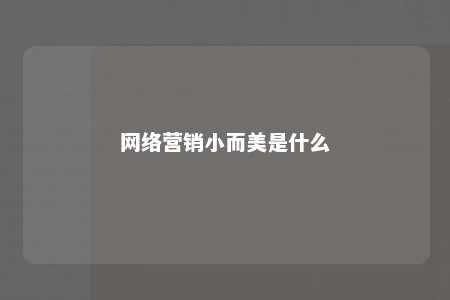 网络营销小而美是什么