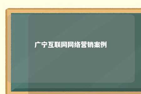 广宁互联网网络营销案例