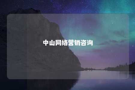 中山网络营销咨询