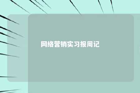 网络营销实习报周记