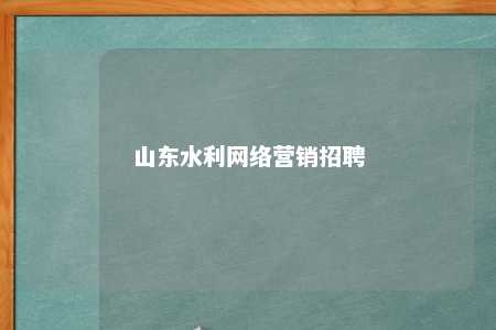 山东水利网络营销招聘