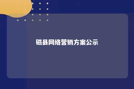 磁县网络营销方案公示