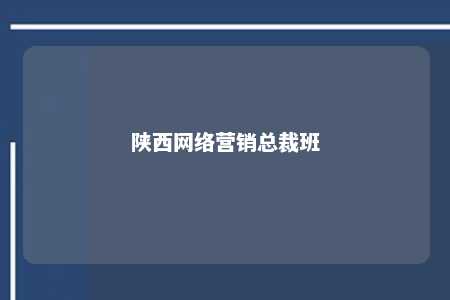 陕西网络营销总裁班