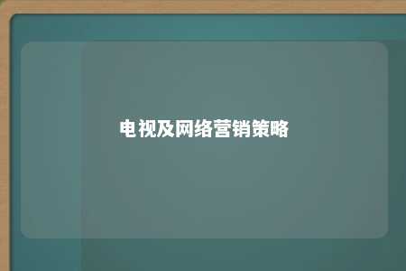 电视及网络营销策略