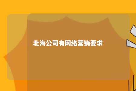 北海公司有网络营销要求