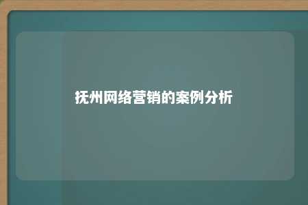 抚州网络营销的案例分析