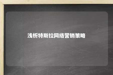 浅析特斯拉网络营销策略