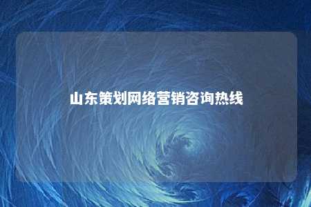 山东策划网络营销咨询热线