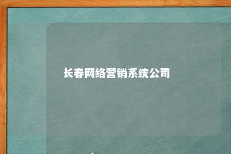 长春网络营销系统公司