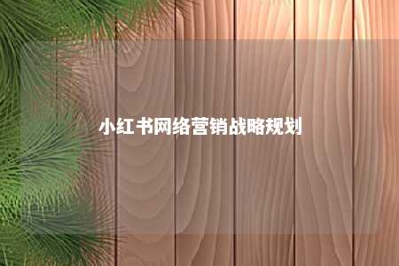 小红书网络营销战略规划