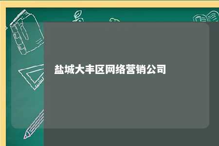 盐城大丰区网络营销公司