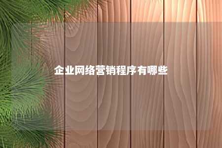 企业网络营销程序有哪些