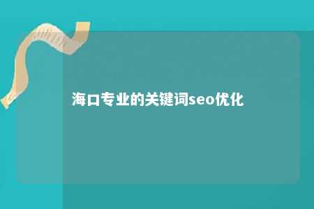 海口专业的关键词seo优化