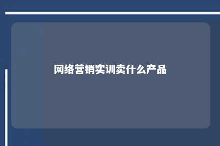 网络营销实训卖什么产品