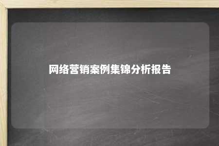 网络营销案例集锦分析报告