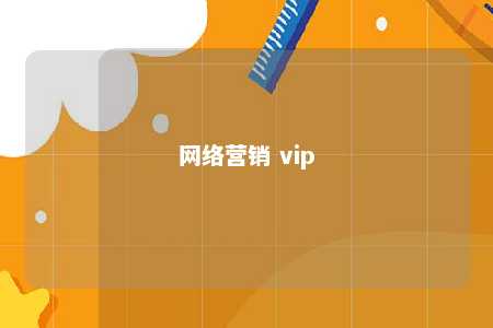 网络营销 vip